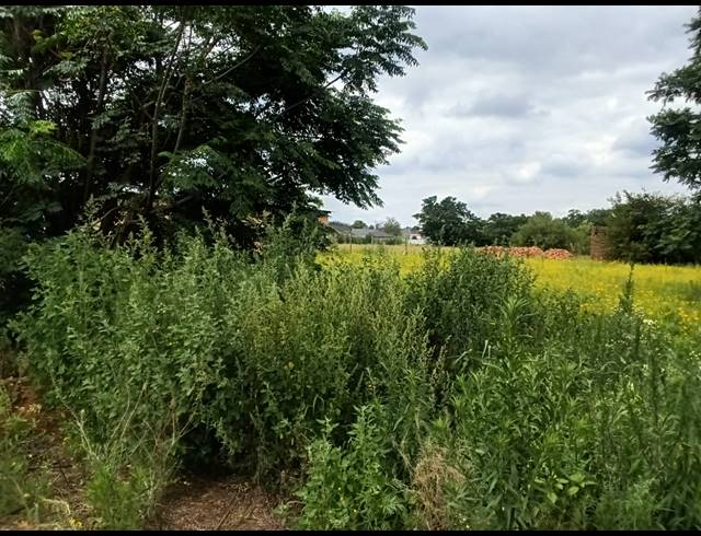 1,044M² VACANT LAND FOR SALE IN KOOKRUS